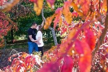 Engagement Pictures (sneak peek)
