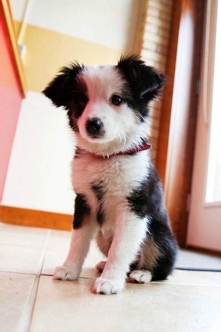 NWR: ALL THE CUTE THINGS!!
