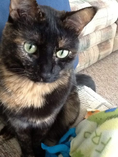 NWR: Fur Baby! :)