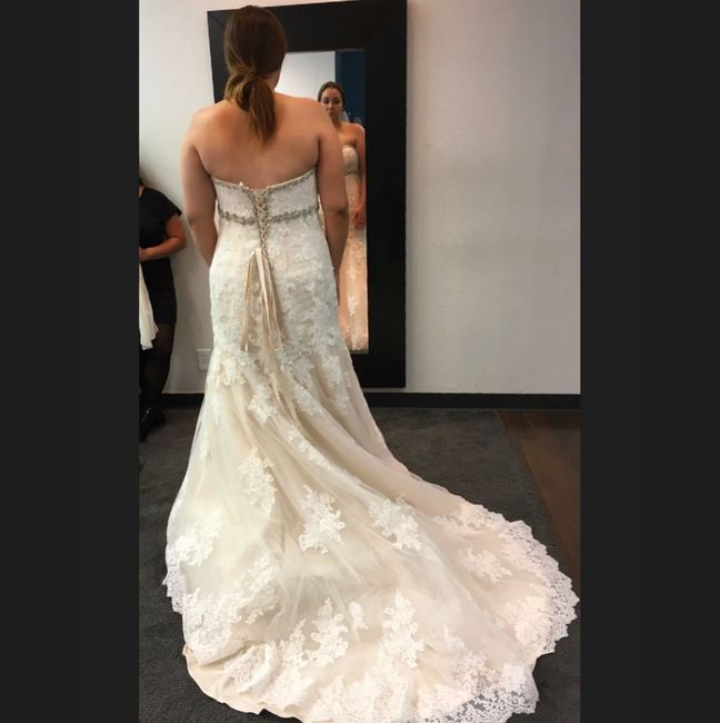 Veil help - 1