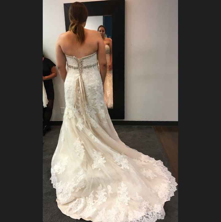 Veil help - 1