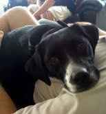 It would really make my day if Duncan's bow tie arrives today