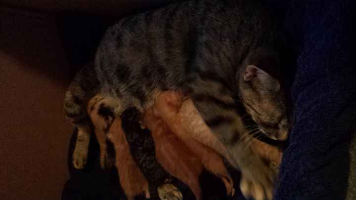 Show me a picture of you AND tell me something I don't know about you