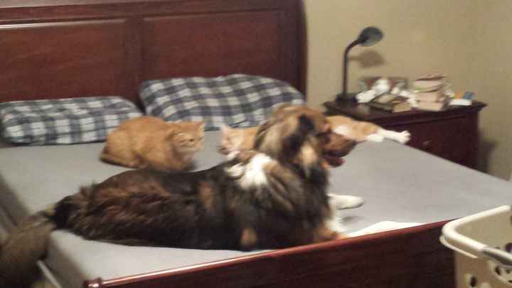 Show me a picture of you AND tell me something I don't know about you