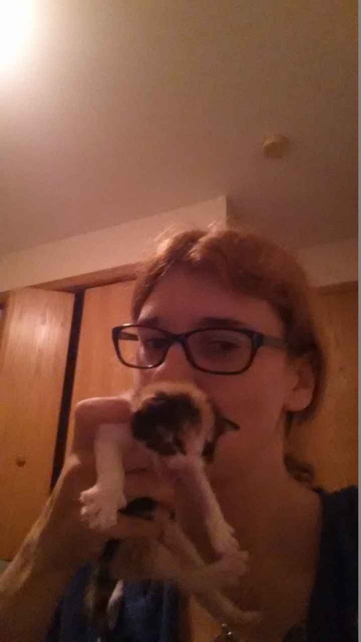 "lets flush out the trolls"