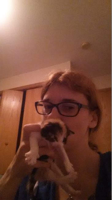 "lets flush out the trolls"