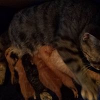 Show me a picture of you AND tell me something I don't know about you