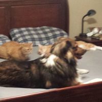 Show me a picture of you AND tell me something I don't know about you