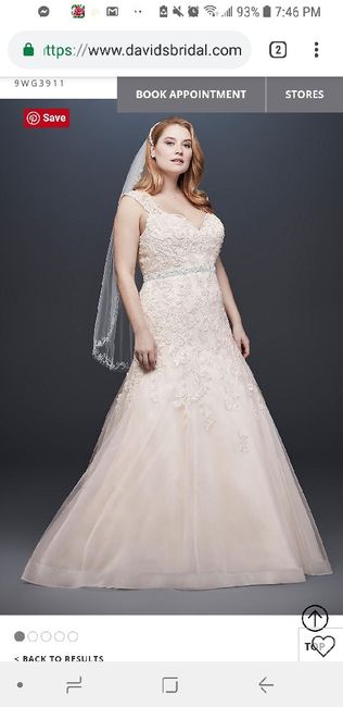 New Dress- Need Support/encouragement Please - 2