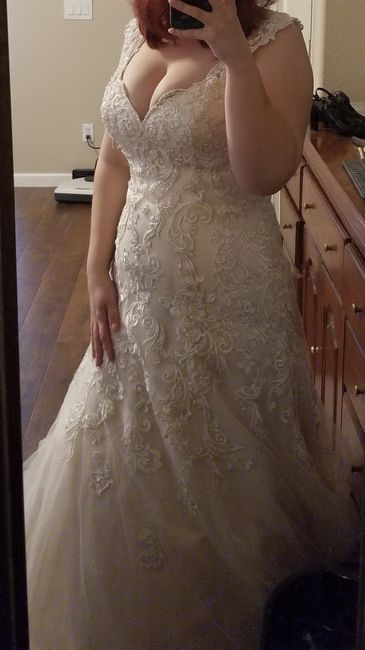 Veil help please!! - 2