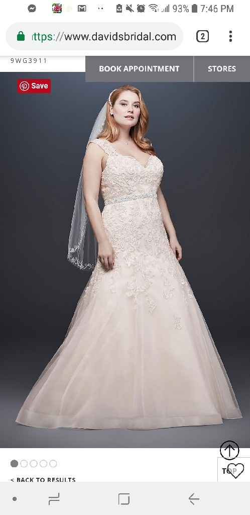 New Dress- Need Support/encouragement Please - 2