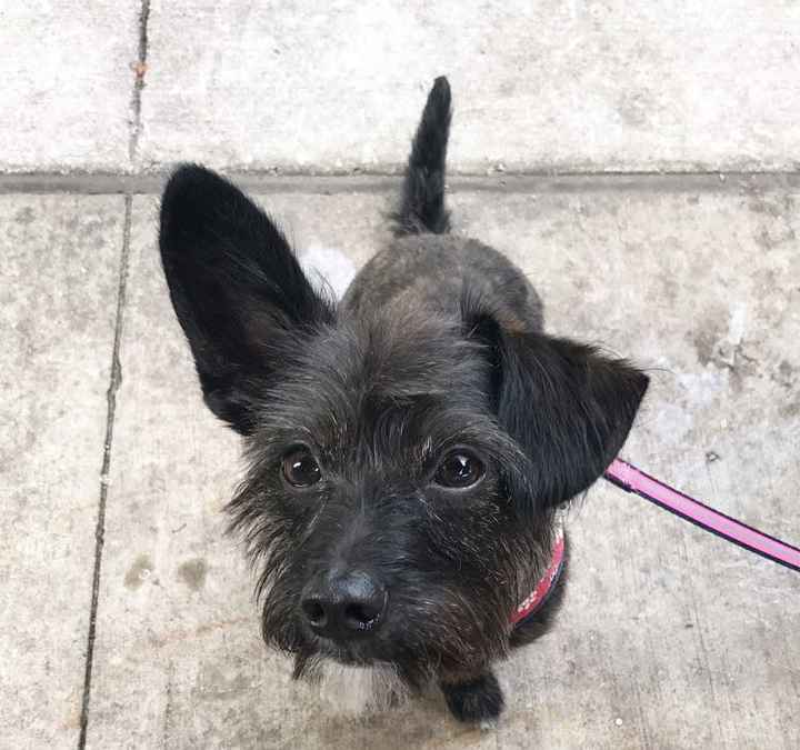 NWR: Show me your fur babies