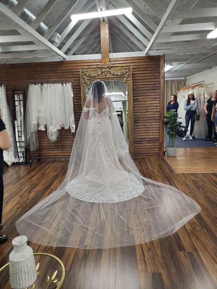 Veil or no veil? - 1