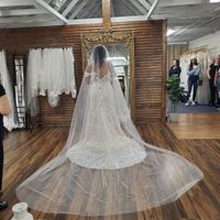 Veil or no veil? - 1