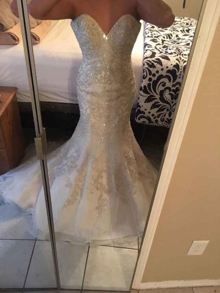 Team petticoat or no petticoat???