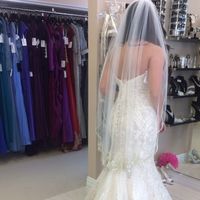 Any brides NOT wearing a cathedral veil?