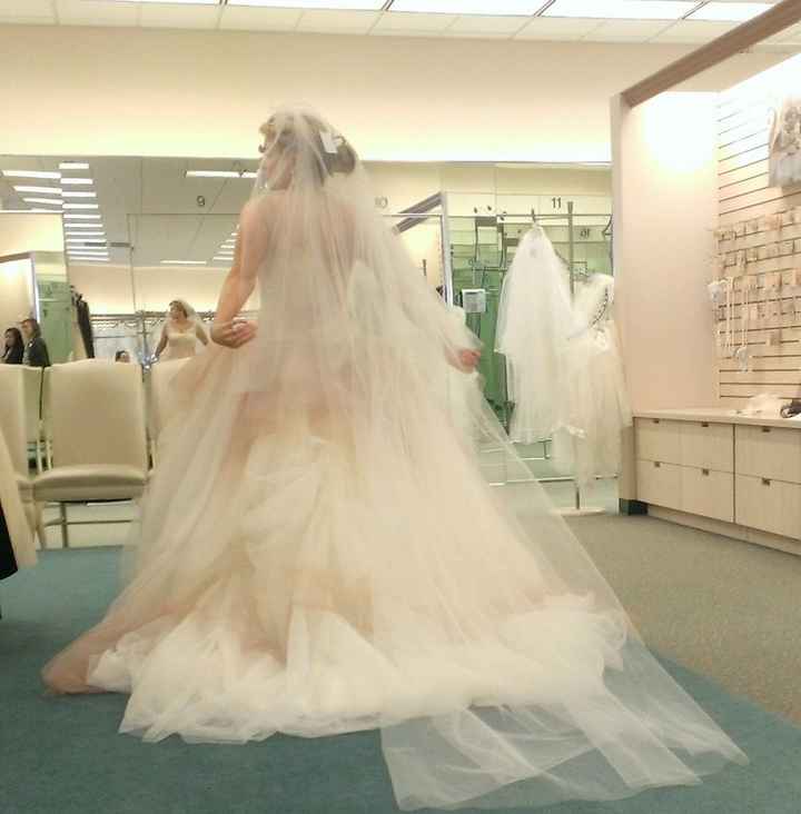 Help me pick my veil!!!