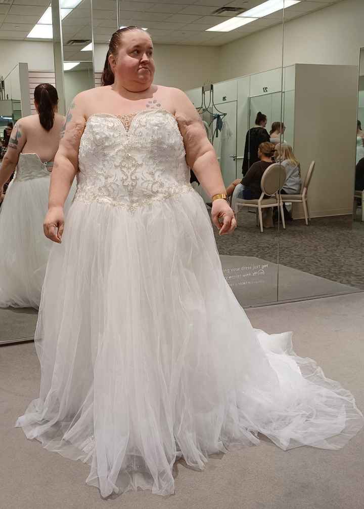 Wedding dress came in - 1