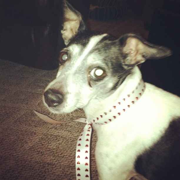 I'm in need of a post like this! {POST YOUR PICS!}