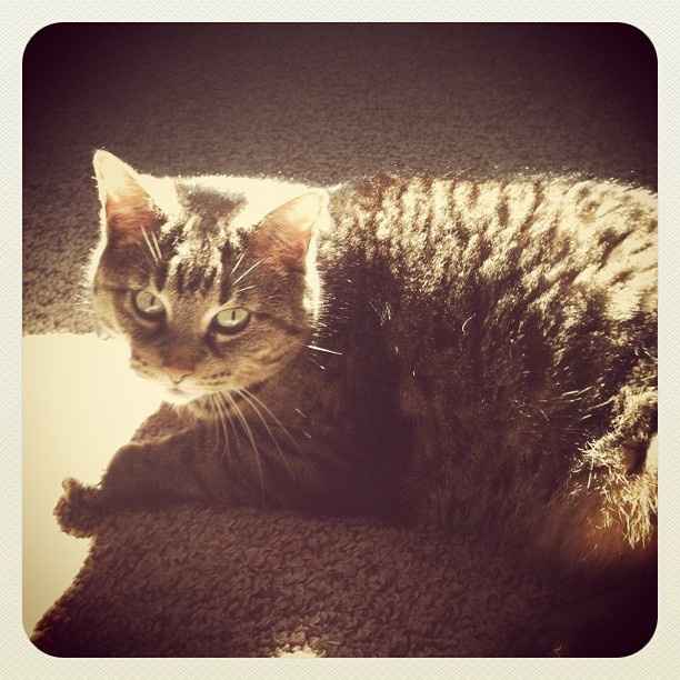 I'm in need of a post like this! {POST YOUR PICS!}