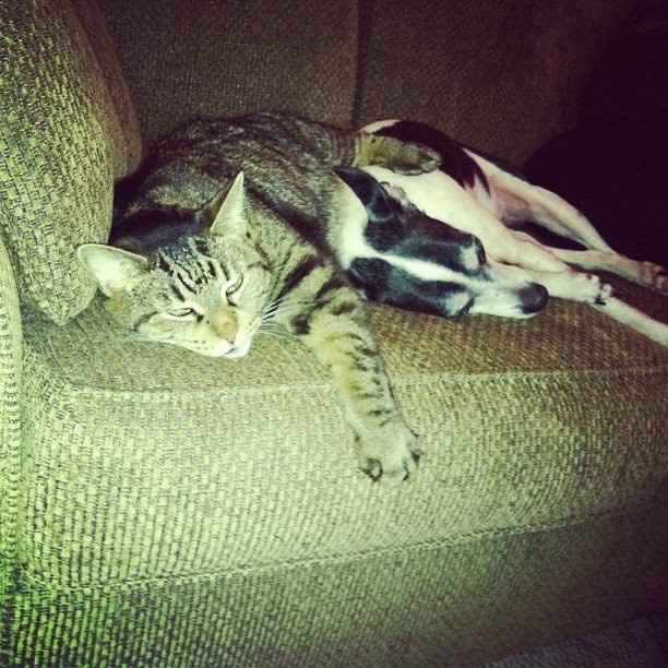 I'm in need of a post like this! {POST YOUR PICS!}