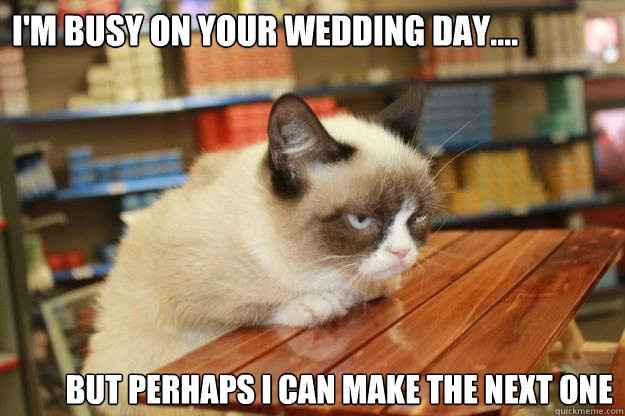 NWR:  cat meme time!