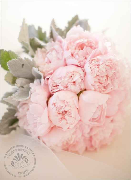 What Flowers are these??...pics