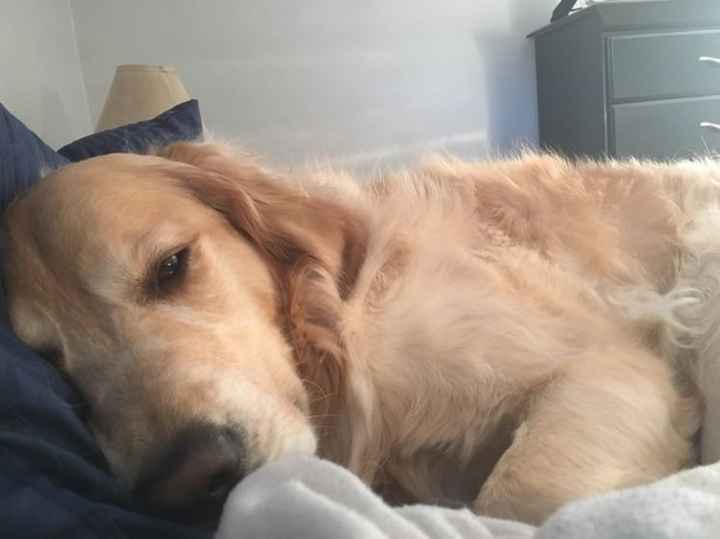 NWR- let me see your fur babies, awake and scared