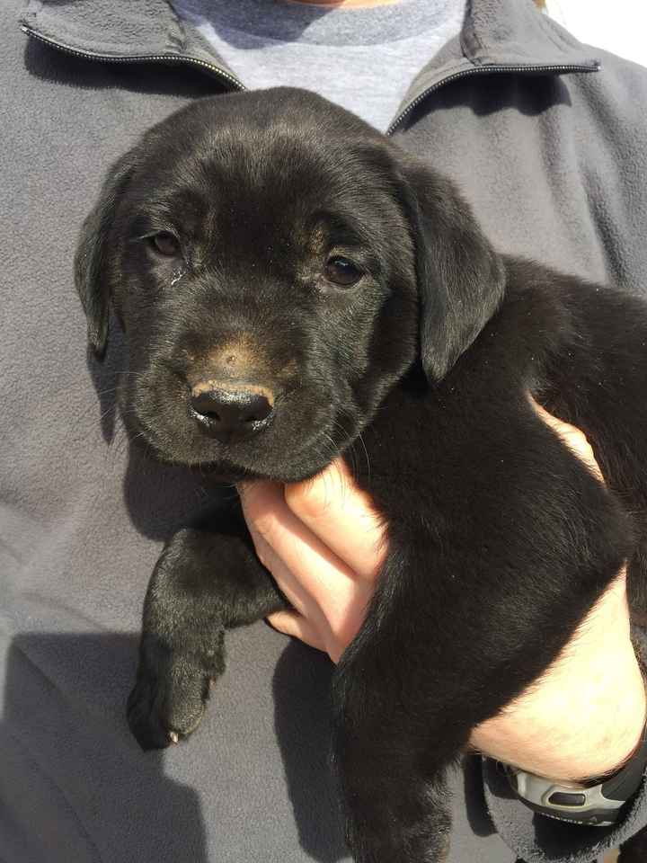 NWR: Look at our new FUR Baby!