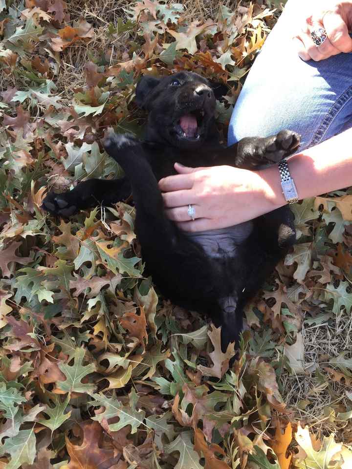 NWR: Look at our new FUR Baby!