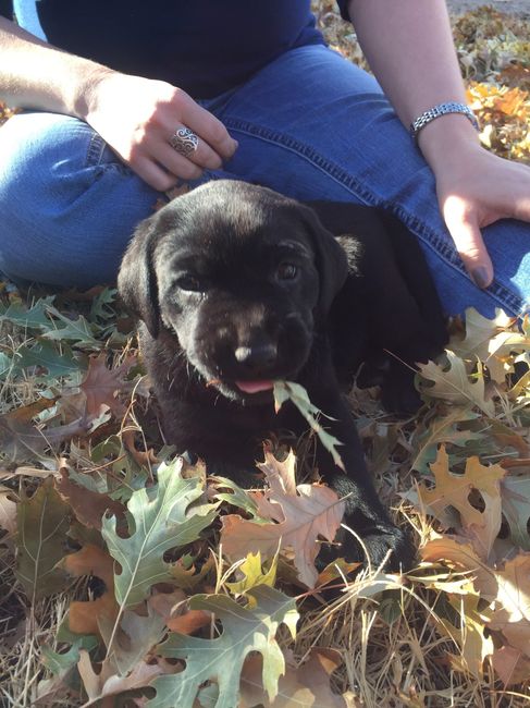 NWR: Look at our new FUR Baby!