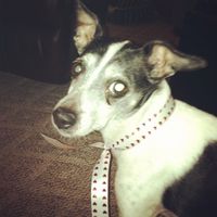 I'm in need of a post like this! {POST YOUR PICS!}