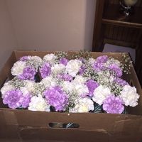 BAM Finally (non pro pics)