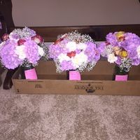 BAM Finally (non pro pics)