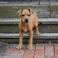 need help settling a looooong argument (NWR)