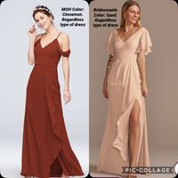 Can’t decide on bridesmaid dresses. Help!!! - 1