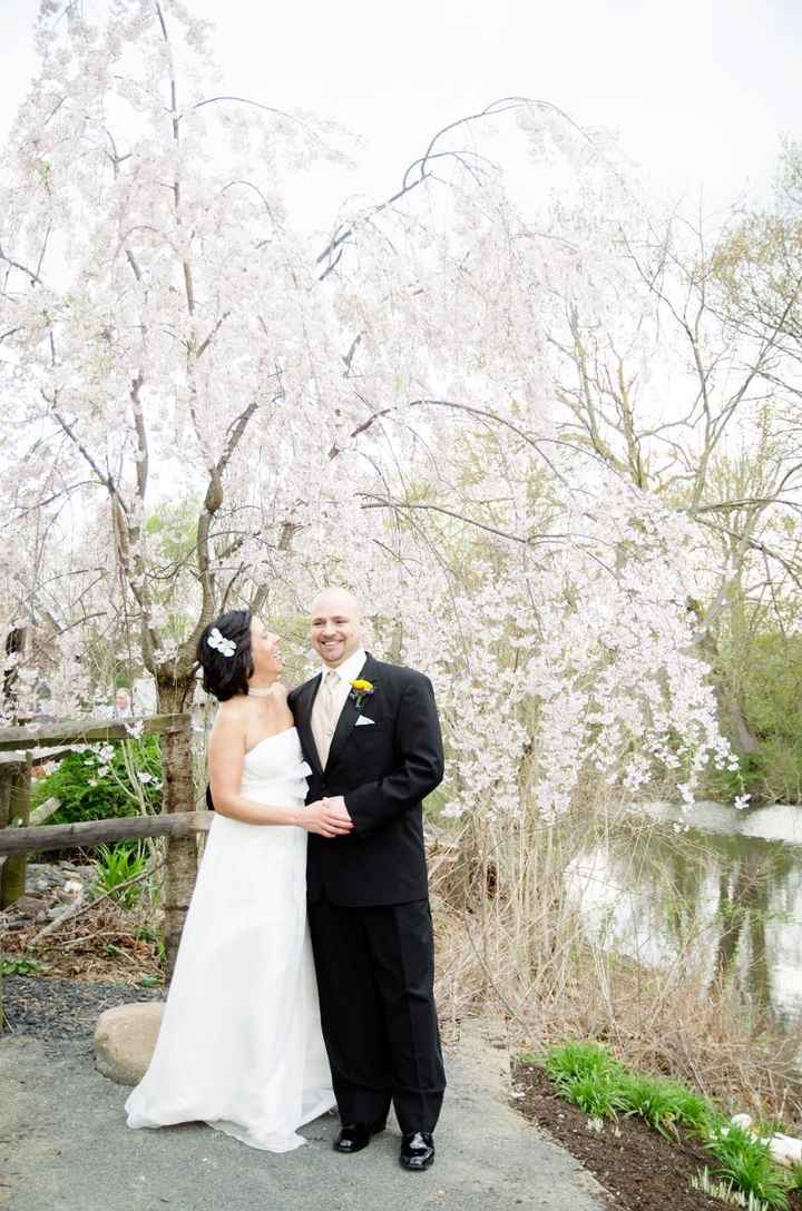 Finally - Wedding Pictures