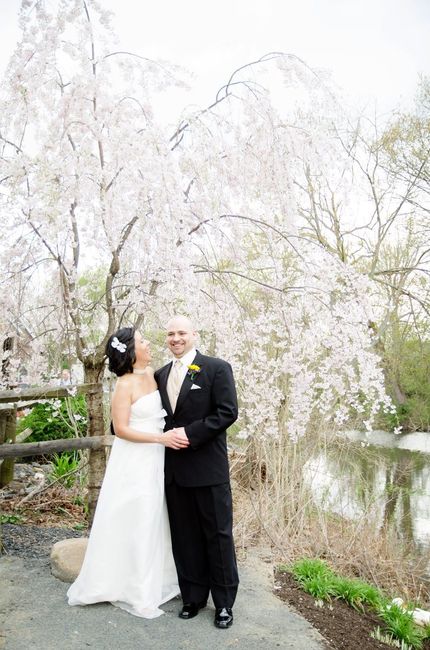 Finally - Wedding Pictures