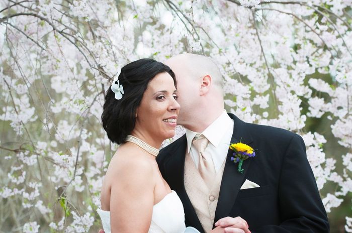 Finally - Wedding Pictures