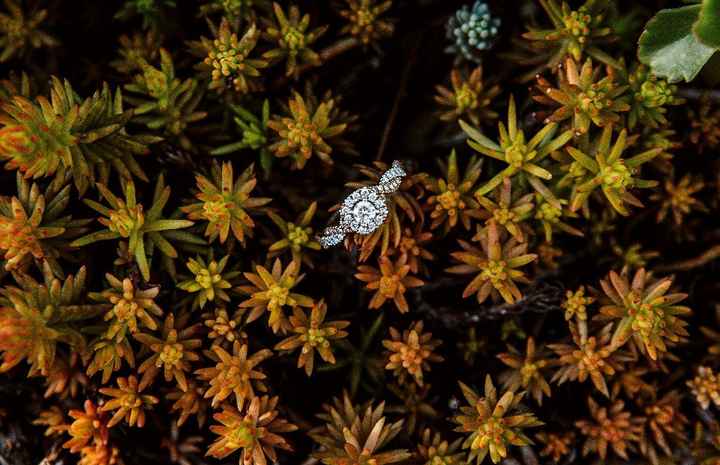 Show me your bling 💍 - 1