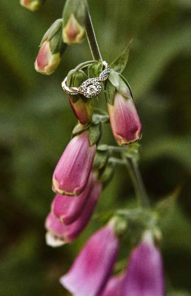 Show me your bling 💍 - 2