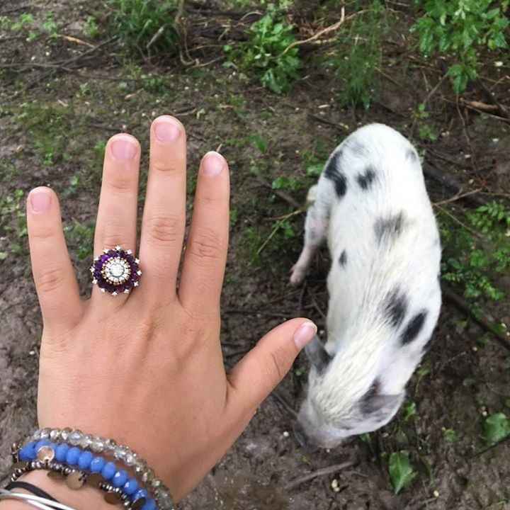 Who in your family is married/engaged?
