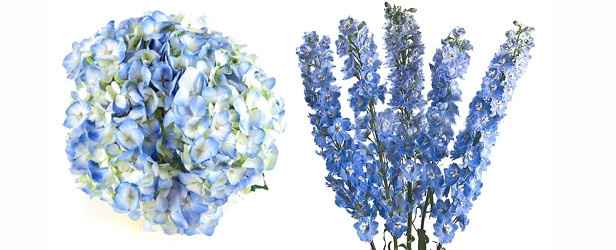 Wedding Colors?  Using One Color With Multiple Shades.