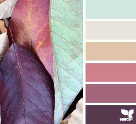 wedding colors?!?!?