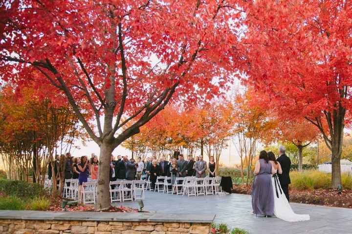 Foliage in November??
