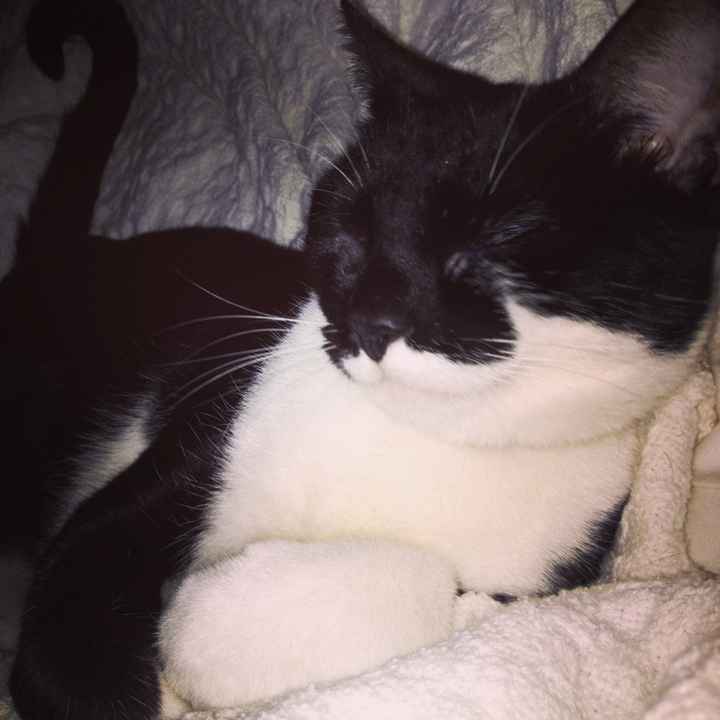 I LOVE my fur baby!