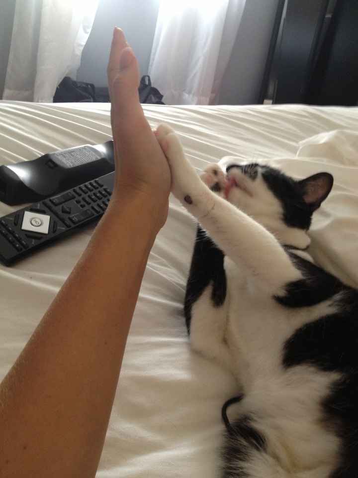 NWR: Today freaking sucks.