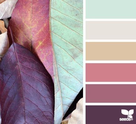 wedding colors?!?!?