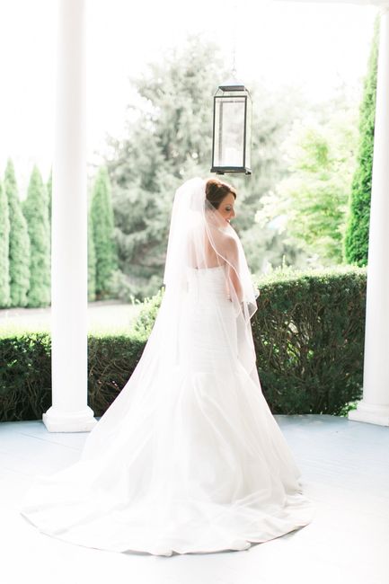 Veil Length?