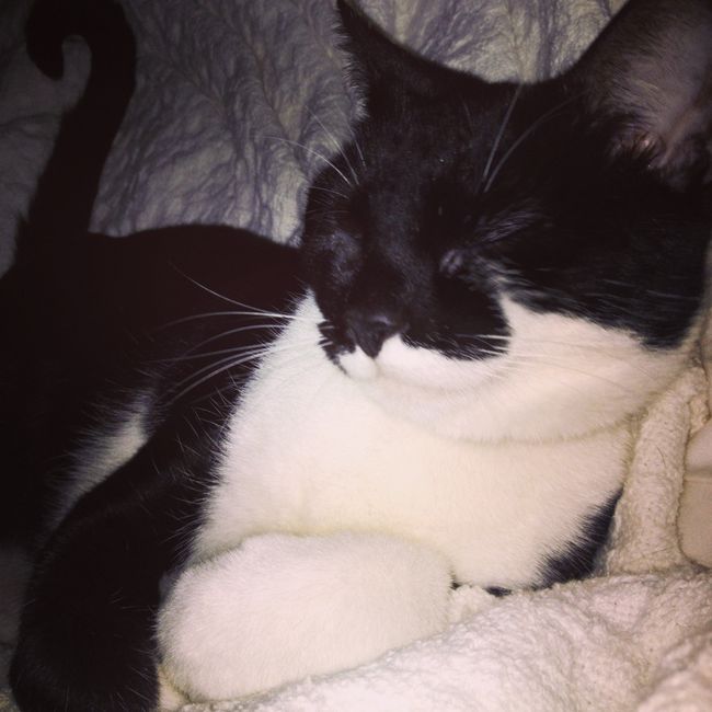 I LOVE my fur baby!